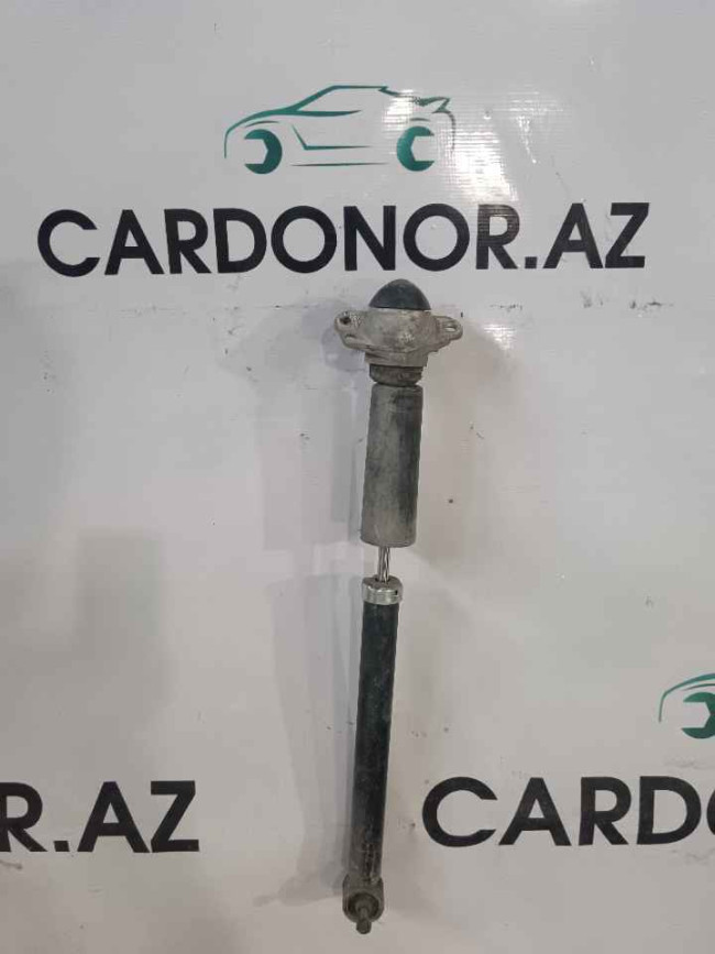 Amortizator Arxa (Амортизатор задний) Skoda Fabia 2007